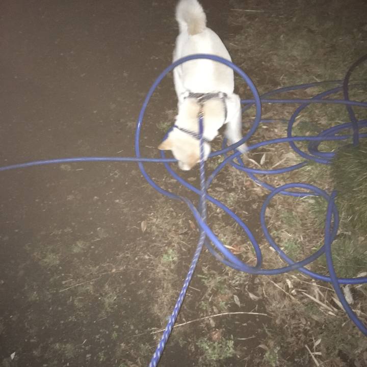 Ece57653 54e4 4a1d b4d6 788da4bf43f9