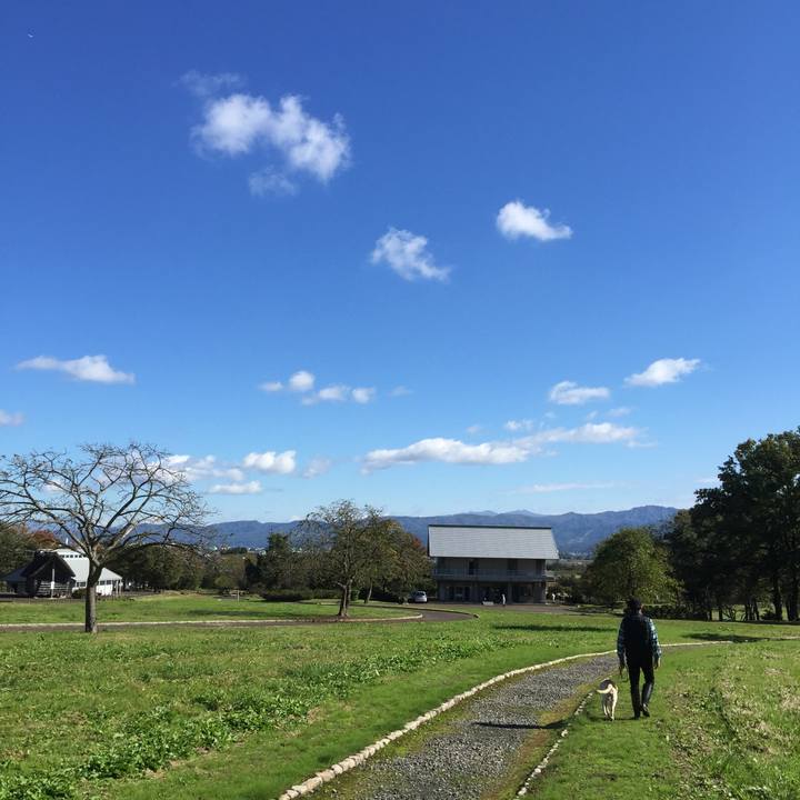 Ece5c4fb 67ca 4590 8117 a3c3ba447a04