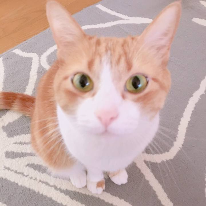 Ece64d6b a2e0 48a6 a0f8 89dc6c4f8b12