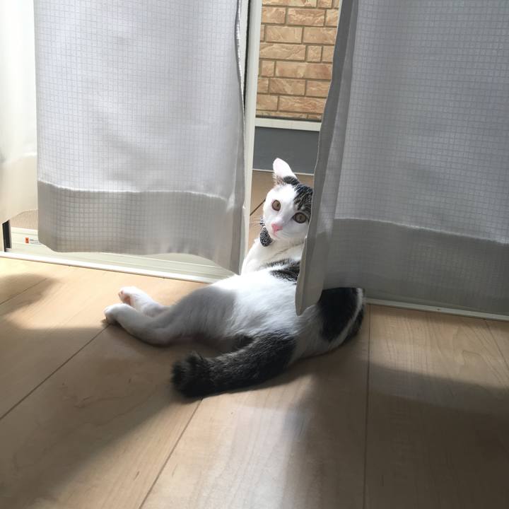 Ece78a0f 58b1 4981 b529 edeb643d8243