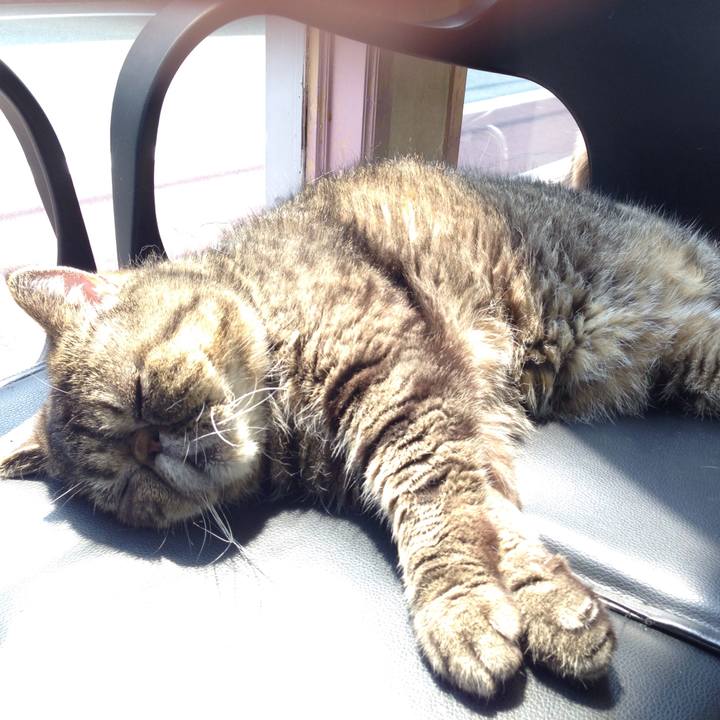 Ece7e738 81ca 44da aa63 4de3d12efdec