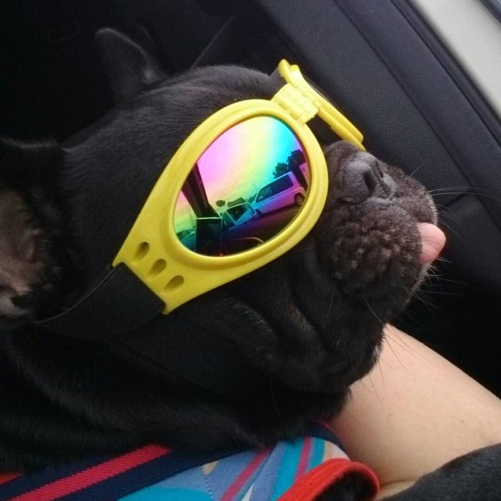 Ece7f5ef 7c4f 49e9 97a1 f50989b10509