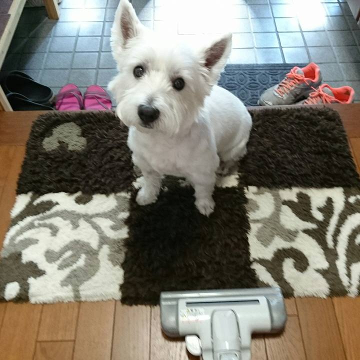 Ece89498 ecb3 482a ba0e 2d211d9c73e6