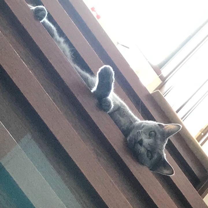 Ece89fa1 ee81 4fb5 9497 f770b3a4d0d6