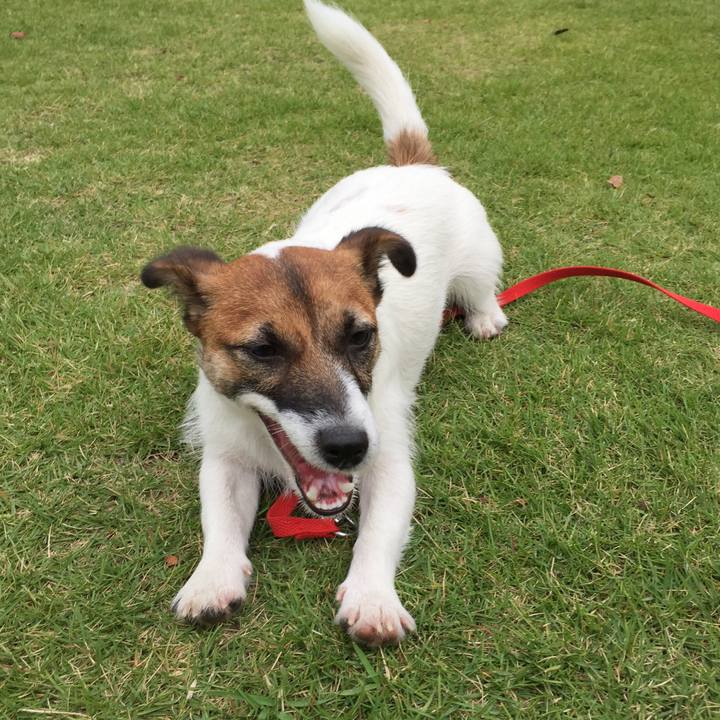 Ece8a263 0e31 4e7a 8b8c 1d290874f5cf