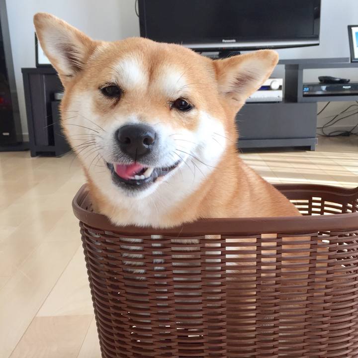 Ece8e690 7931 4446 8948 f4bb3b1d5c81