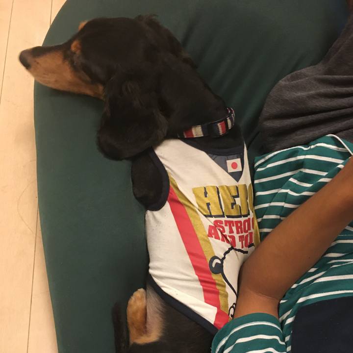 Ecea85aa b246 4406 982c 5d0672b57375