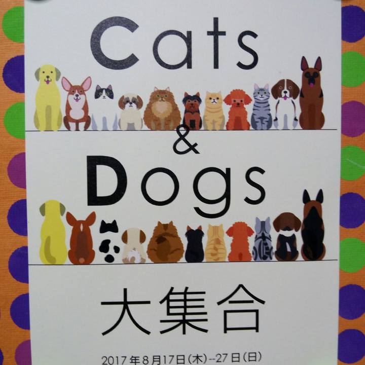 Eceaf3e0 2f57 436e 9c37 a1cafc32eaa0