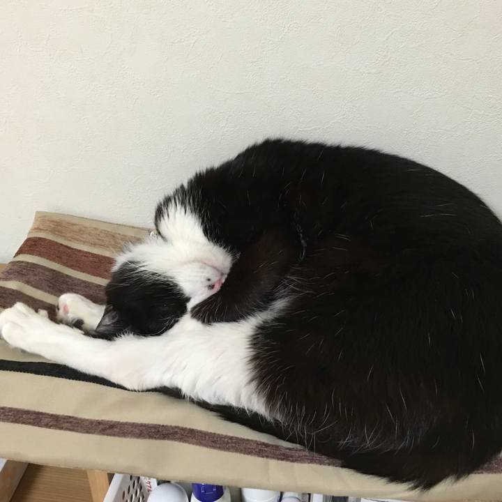 Eceb28cc d5b7 468c 9d2d 9301506cb9a6