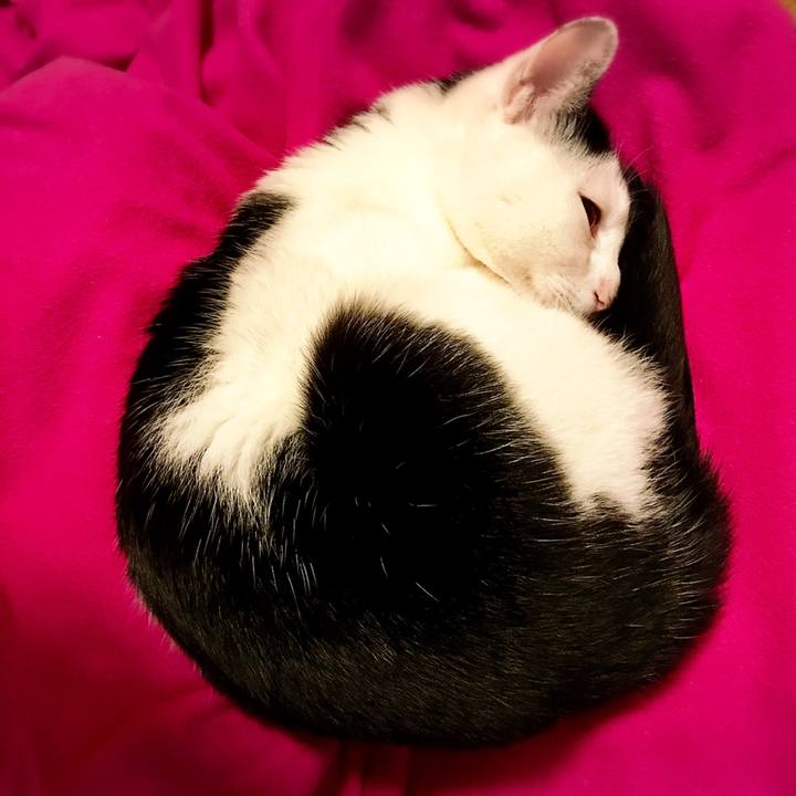 Eceb696a f7cd 4468 93a3 0db347c34ce2