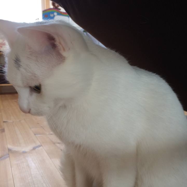 Ecec4b63 815a 42e5 a035 cb9a1e637e64