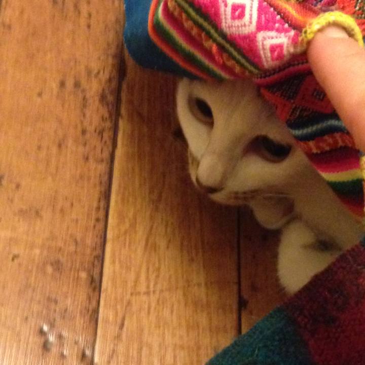 Ececebc1 7dfc 4d50 99c2 1318e4740365