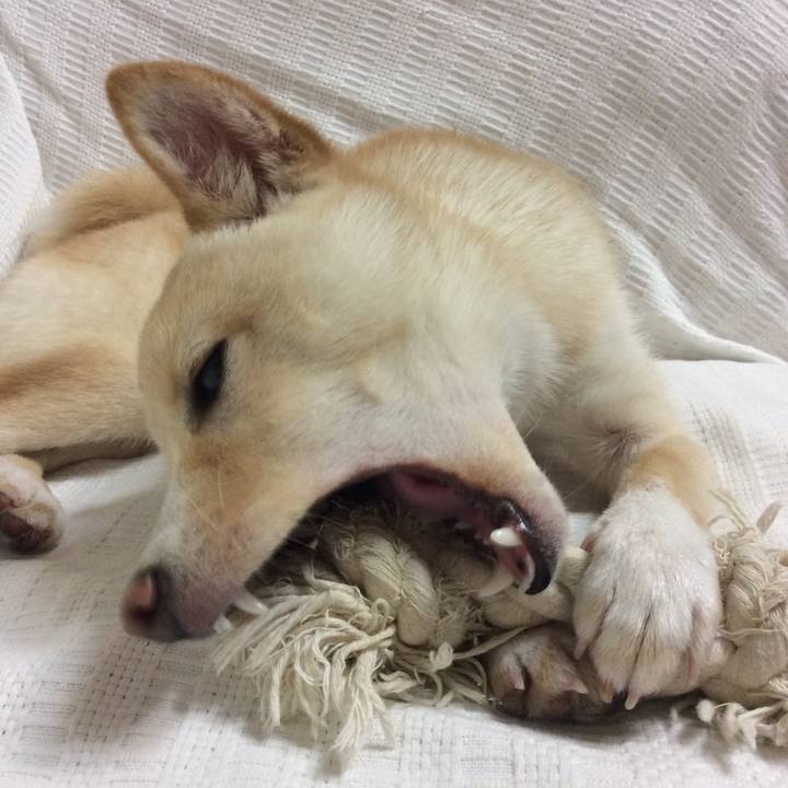 Ececf537 a87d 4bd9 a22c c2138dd7f94c