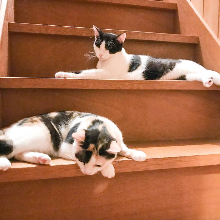 Eced70cc cbe0 4a85 be81 89eb4bd244b7