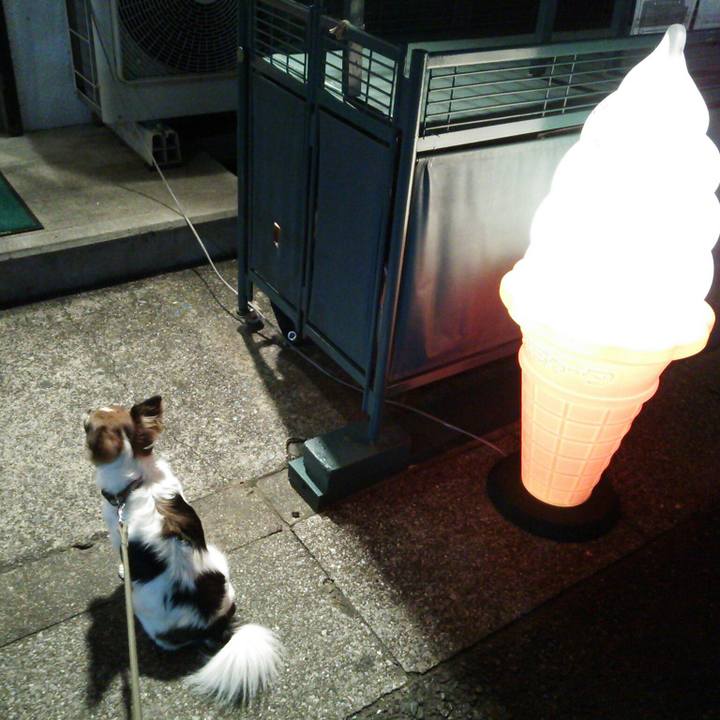 Ecee0017 faed 4e87 a88b a2da44486c97