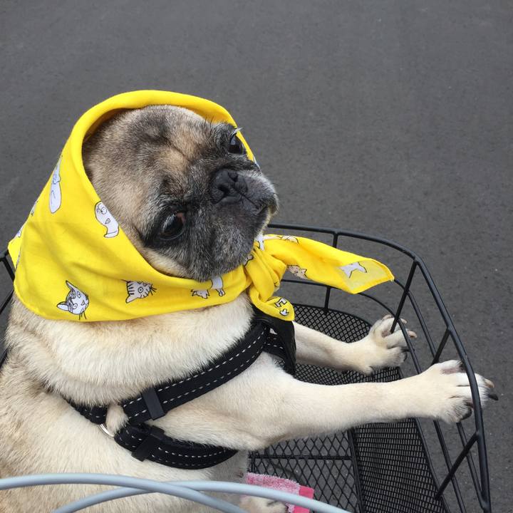 Ecee046e be9c 45a0 ac71 dd5f3dce66b8