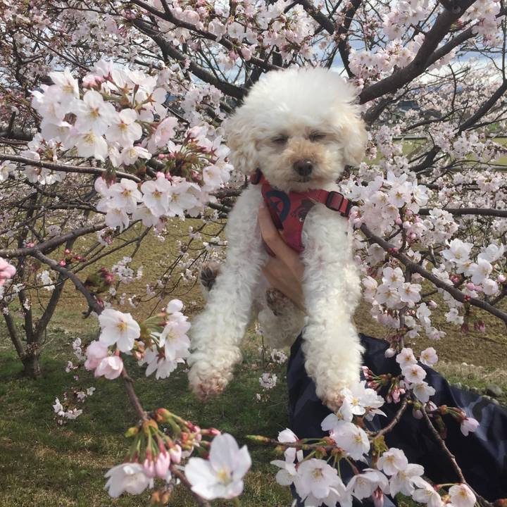 Ecee174d eb7d 4dee 9f27 4dd4c2ab56b6