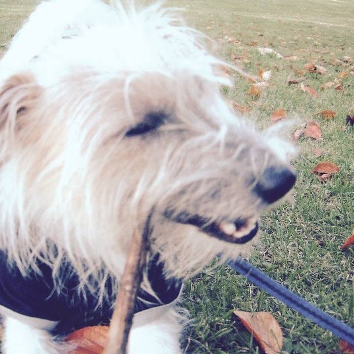 Ecee3558 d2dc 499c 80fd a0803861cad9