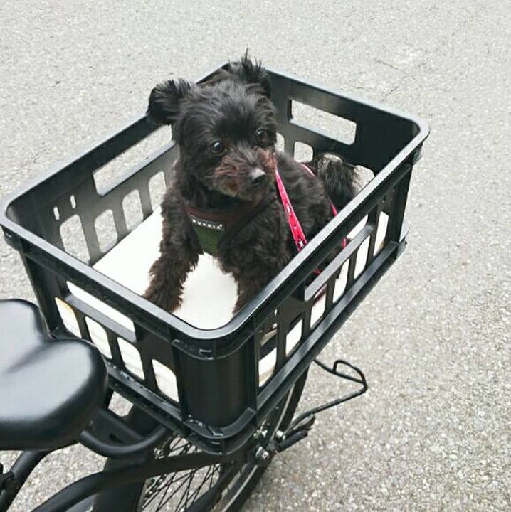 Ecee5255 cec4 4051 aeb6 e4b8ca141c3f