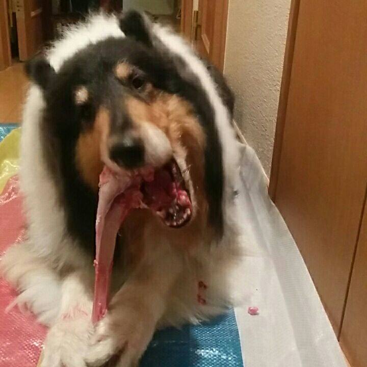 Ecee5e11 e205 405e a55c a70b8453c715