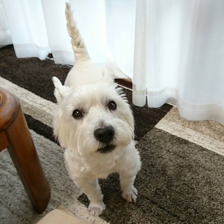 Ecee6669 fd14 4150 990b 13cbf06f7479