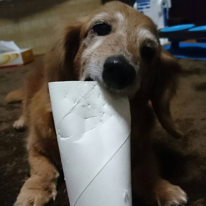 Ecee8833 c8ae 4dab 8adc de7497e5aa86