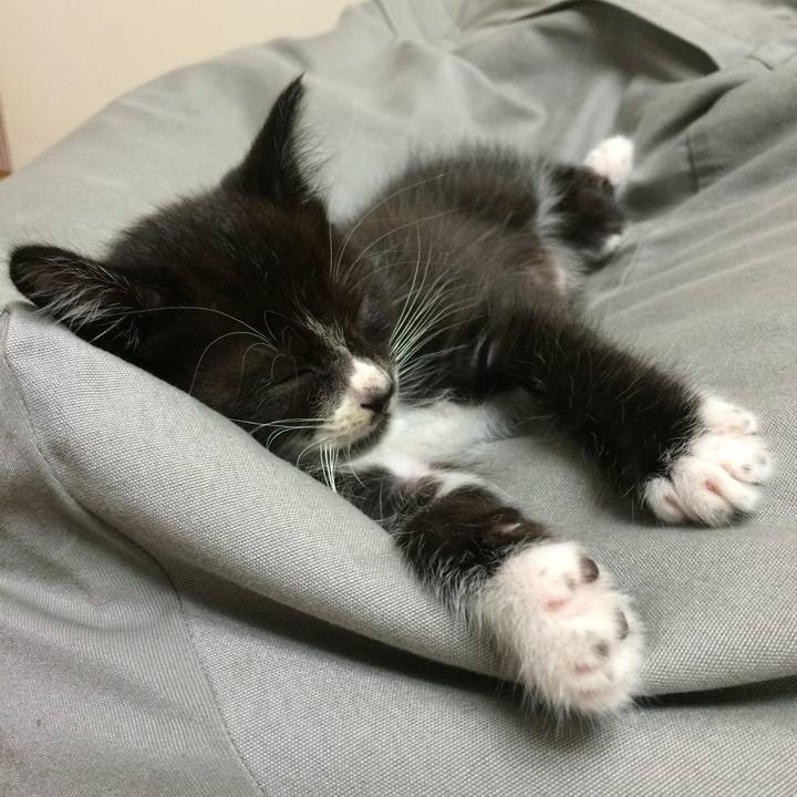 Eceeba7a 71b7 40e8 a8eb 5380aa9ec318