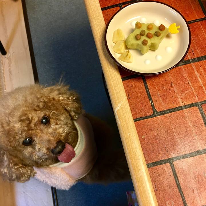 Ecef875a e43e 4929 b47b a4e01c56055d