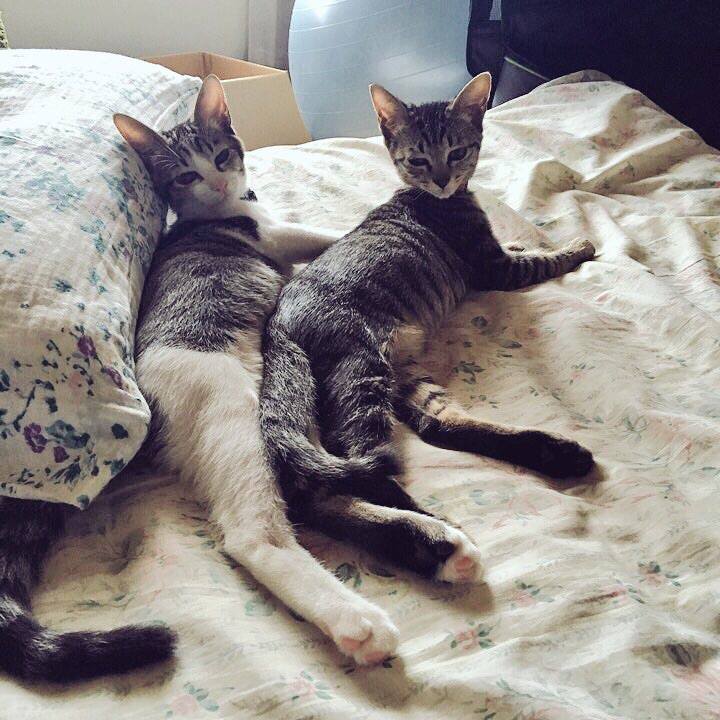 Ecefa48d 2756 4e94 a159 6d69fd270ae0