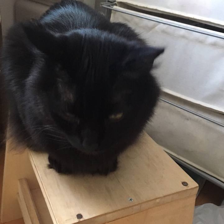 Ecf003c0 1fea 4b1f 896c e74e633ab91a