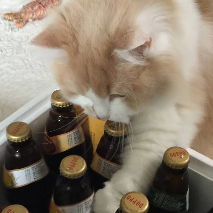 Ecf00a7d 6cac 441a 87eb 0f386ac4173c