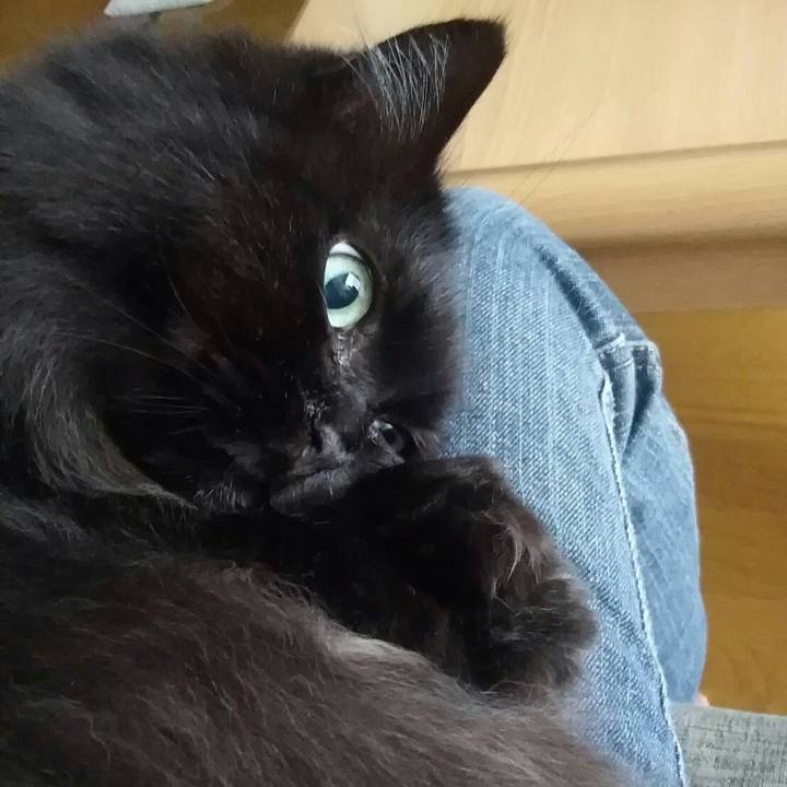 Ecf04b3e 09ff 4730 a576 3c3ff6a6a050