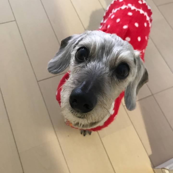 Ecf06019 d969 4c65 bc28 7971b68f75f0