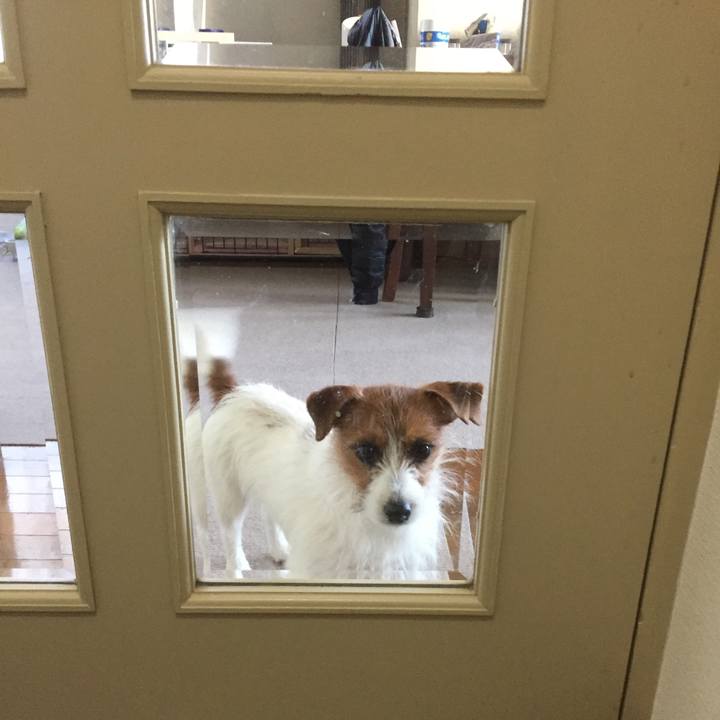 Ecf0876b 23ab 4cc3 a015 fbf027275003