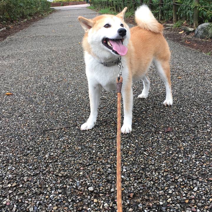 Ecf0bbf2 5ee1 4083 974a cf0a44773836