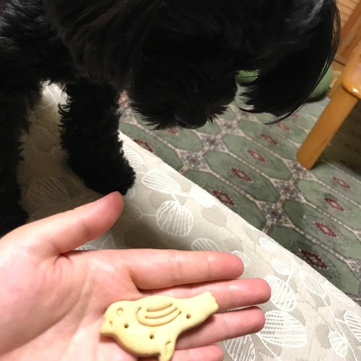 Ecf111ac af25 4fc7 b404 103d14364b0c