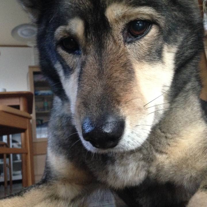 Ecf17f26 9daf 4270 aab1 c6b1b5ee0932