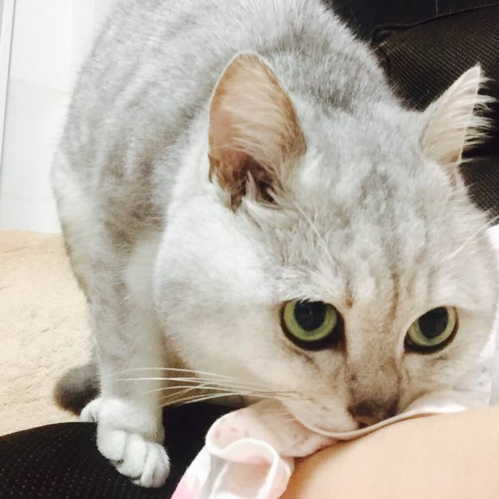 Ecf1afb2 3690 43ff a7fb 8f0559966355