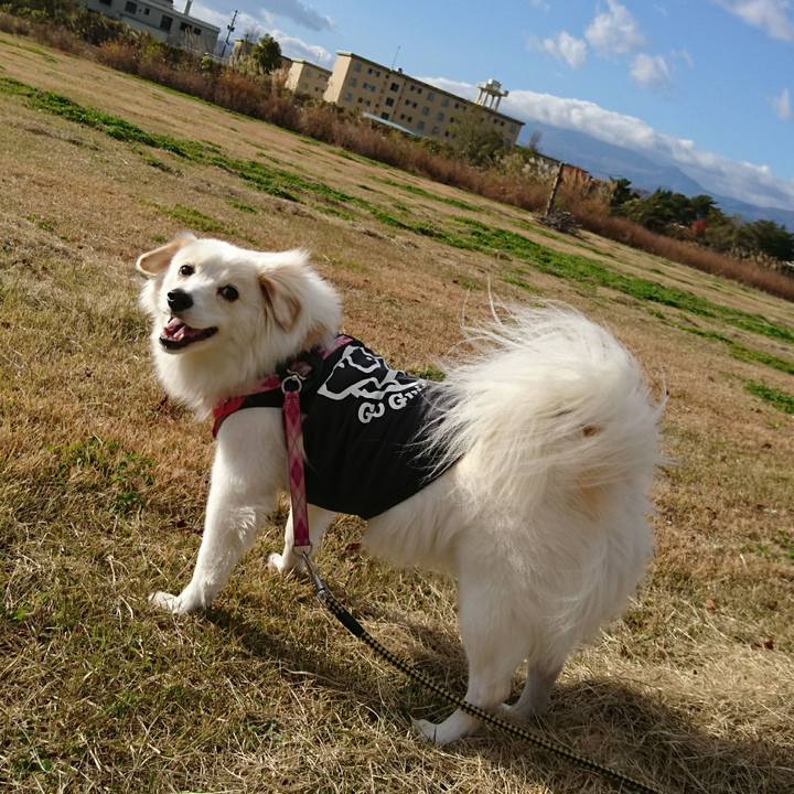 Ecf1b066 741f 41c9 8a90 dc79b7984e2f