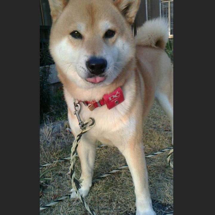 Ecf1d0c8 b371 4c69 b130 9049dee2bb45