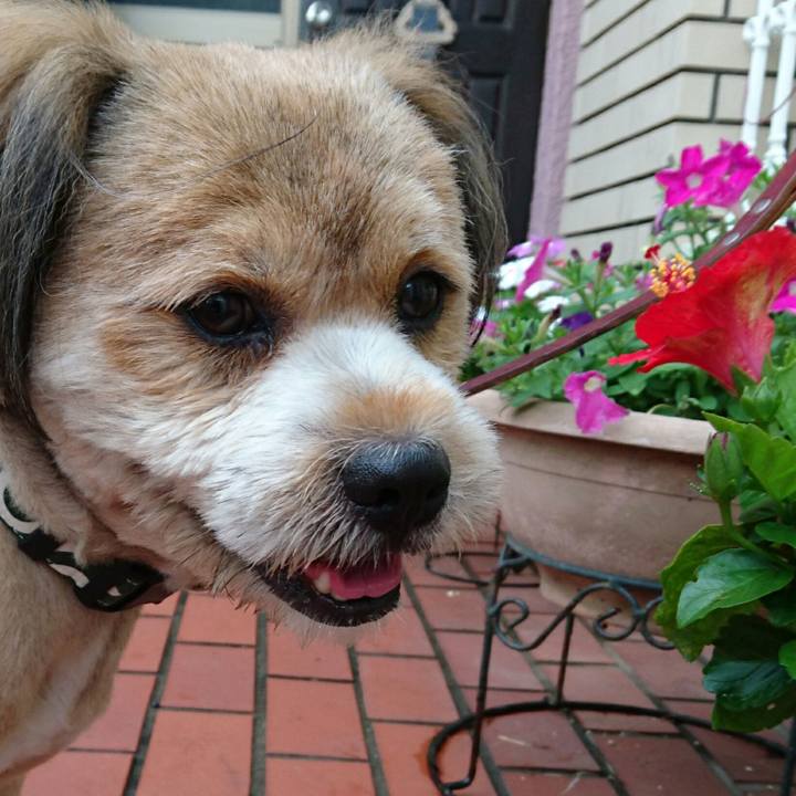 Ecf1f7f2 0c94 4092 993e 29d9127367c5