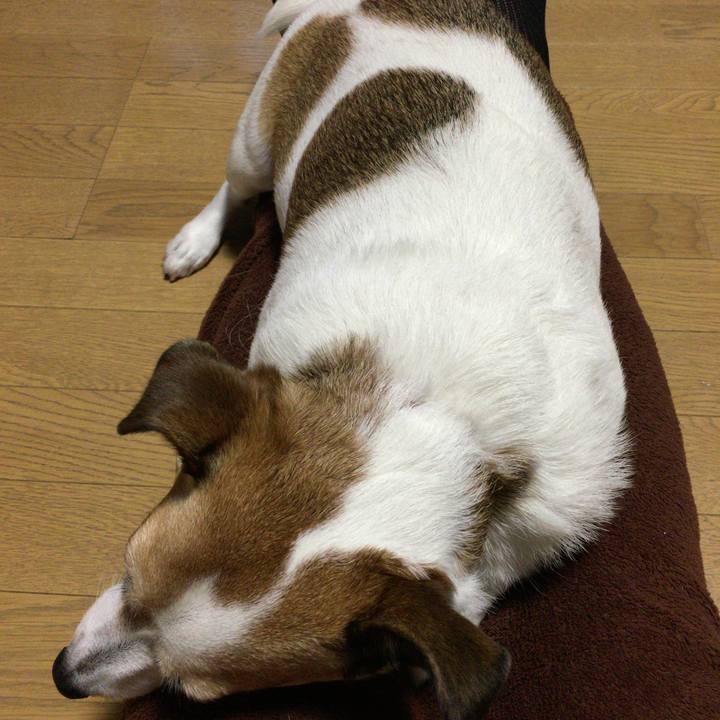 Ecf242b0 772f 46e8 b413 876013d1a883