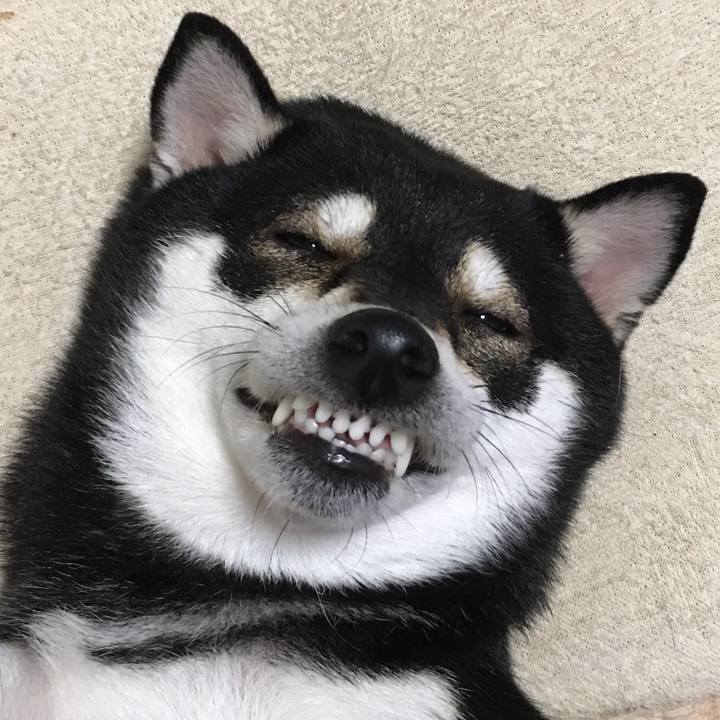 Ecf267be 4cdf 405e 9820 cb31398f6875