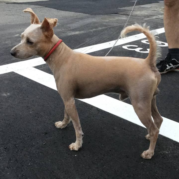 Ecf27686 5cac 4e72 9a89 1e2f2976c7b5