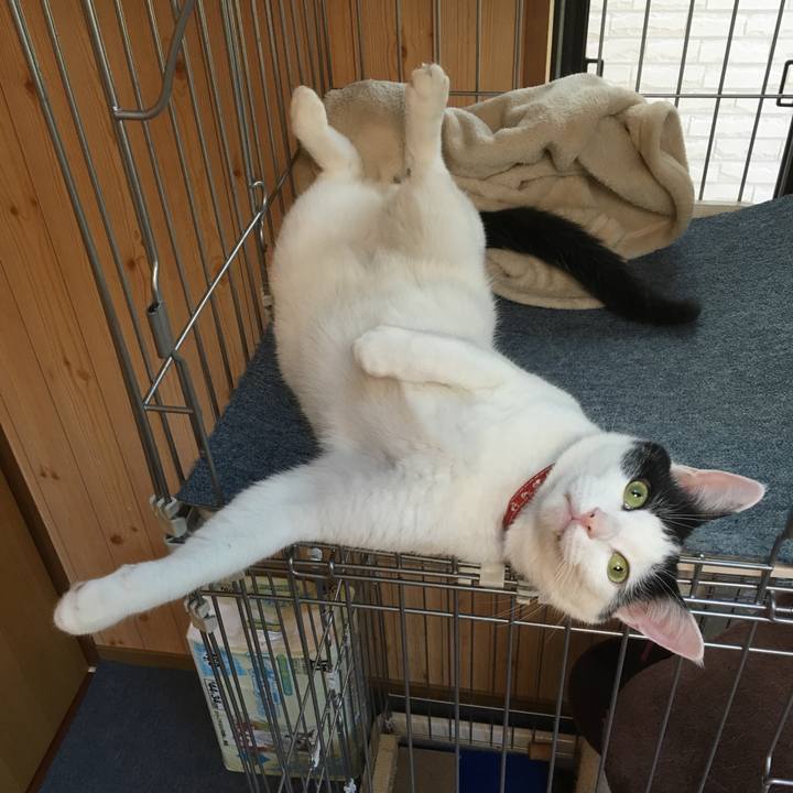 Ecf28078 1cf1 4e94 9661 67bedd51aa10