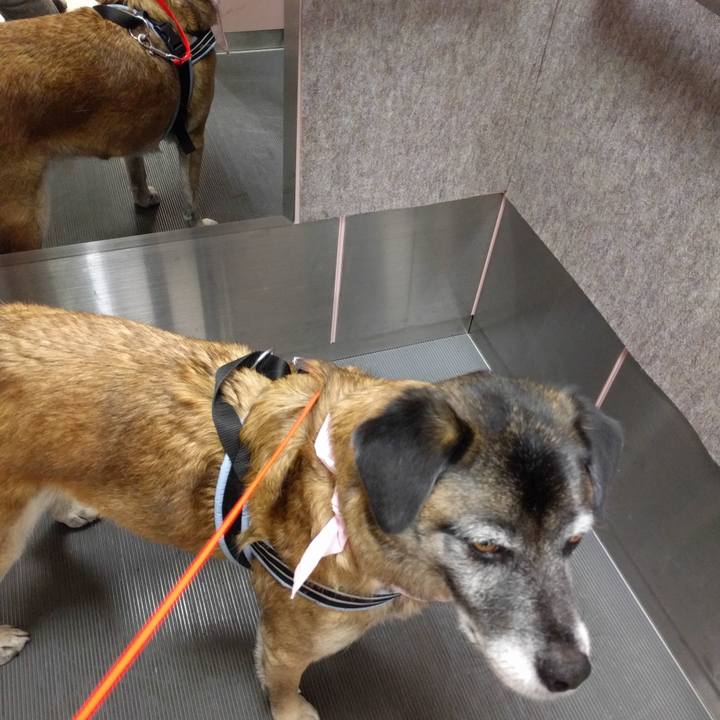 Ecf327a4 a585 4e18 aaae 85a17509ffdb