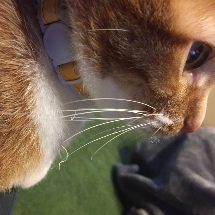 Ecf355d2 f880 4bf4 9f8d 91ef8f676f36