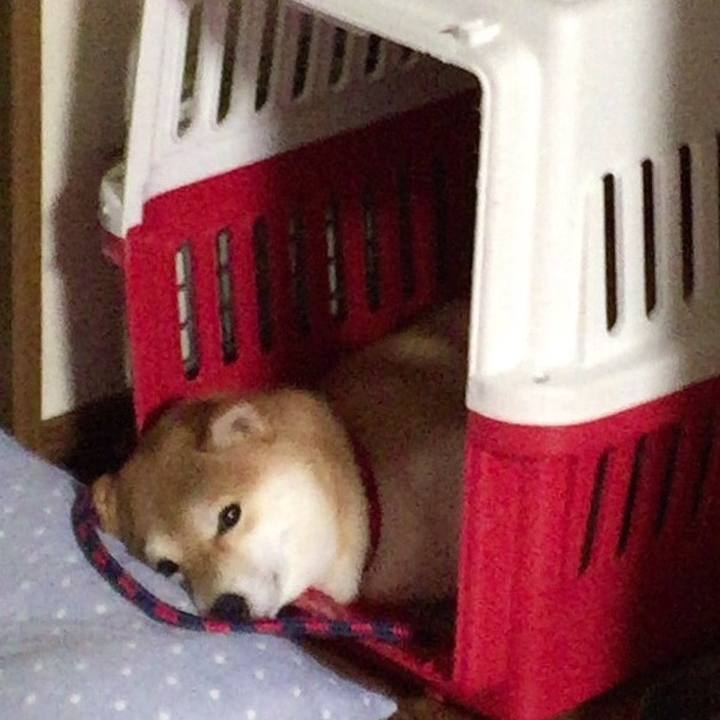 Ecf39b08 e52d 43f5 a282 e0bc4a4eed14