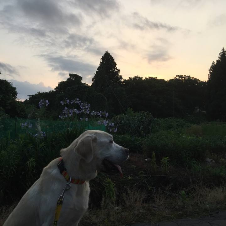 Ecf3caac b327 457a af26 dee147ee5c0a