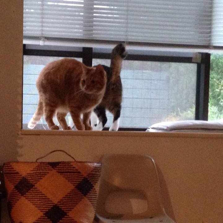 Ecf43026 f37a 4b33 88b9 1ff584a2a317